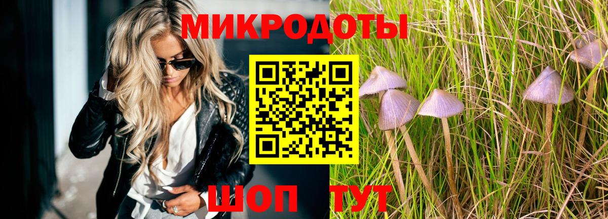 Обь  Галлюциногенные грибы прущие грибы  Вход с VPN 