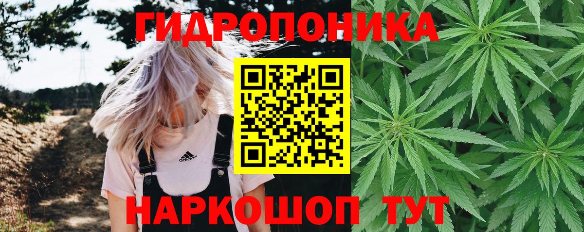 Каннабис Bruce Banner  Вход с VPN  Бошки Шишки сатива  Конопля MAZAR  Обь 